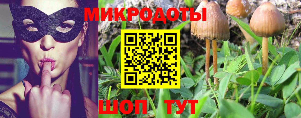 Кудрово  Галлюциногенные грибы MAGIC MUSHROOMS  Галлюциногенные грибы мицелий  Вход с VPN 